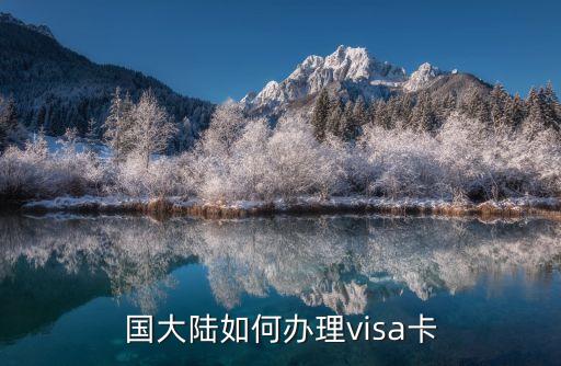 国大陆如何办理visa卡