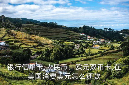 银行信用卡,人民币、欧元双币卡,在美国消费美元怎么还款