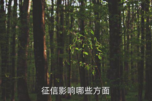 征信影响哪些方面