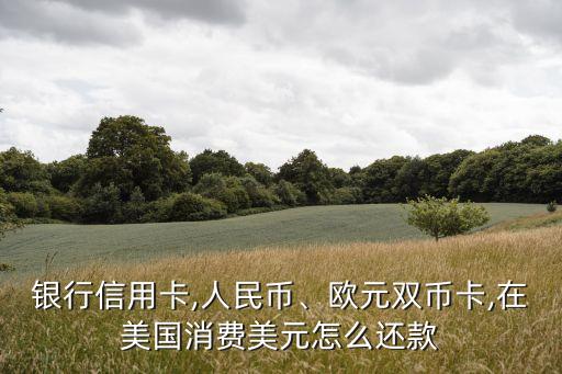 银行信用卡,人民币、欧元双币卡,在美国消费美元怎么还款