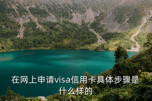 在网上申请visa信用卡具体步骤是什么样的