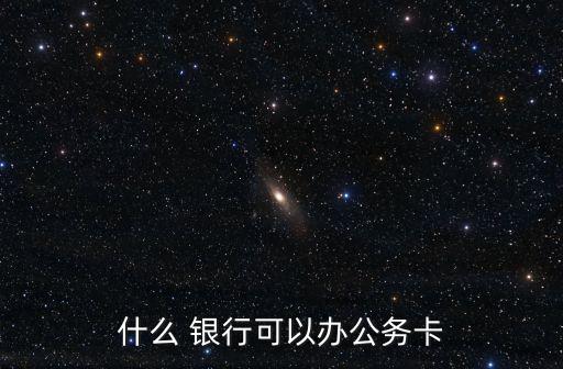 什么 银行可以办公务卡