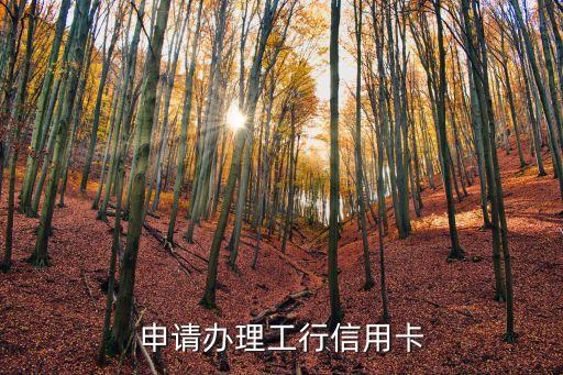申请办理工行信用卡