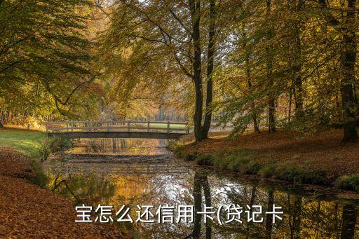 支付宝如何首款还款信用卡,如何使用支付宝还款