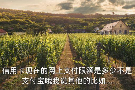 信用卡现在的网上支付限额是多少不是支付宝哦我说其他的比如...