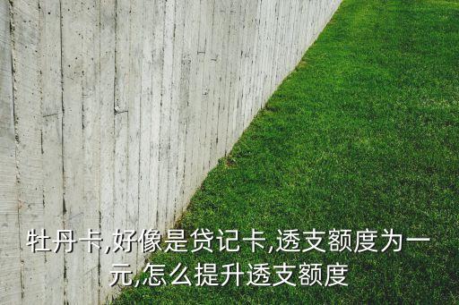 牡丹卡,好像是贷记卡,透支额度为一元,怎么提升透支额度