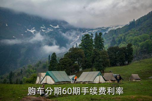 购车分期60期手续费利率