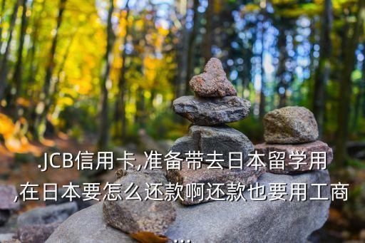 在日本怎么还款中国信用卡,中国信用卡还款日怎么算