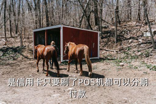 是信用卡只要刷了POS机都可以分期付款