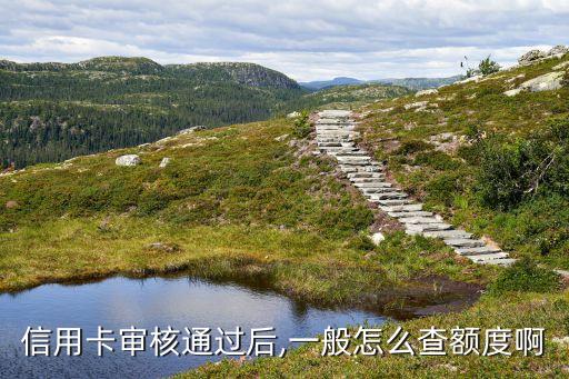 信用卡审核通过后,一般怎么查额度啊