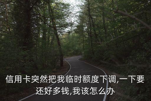 信用卡突然把我临时额度下调,一下要还好多钱,我该怎么办