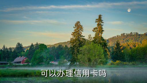可以办理信用卡吗