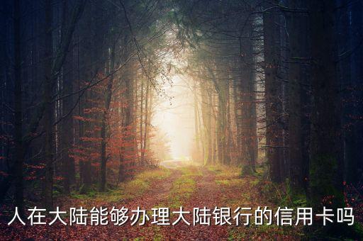 人在大陆能够办理大陆银行的信用卡吗