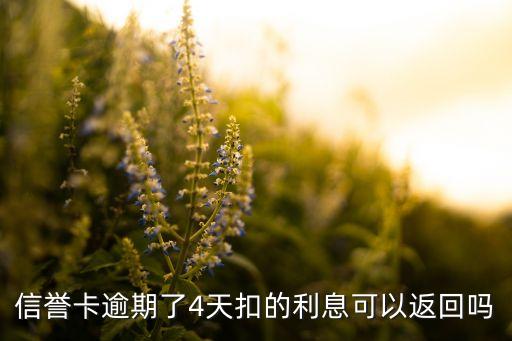 信誉卡逾期了4天扣的利息可以返回吗