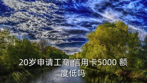 20岁申请工商 信用卡5000 额度低吗