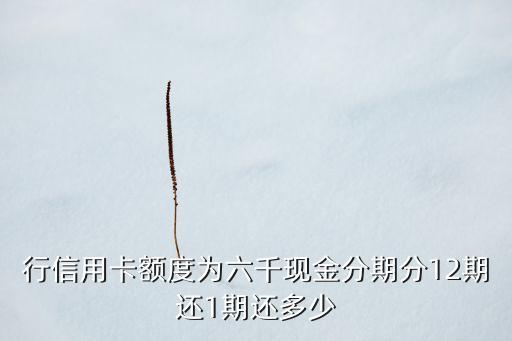 信用卡六千额度,6000元的信用卡最多能借多少钕