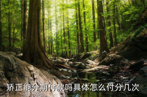 矫正能分期付款吗具体怎么付分几次