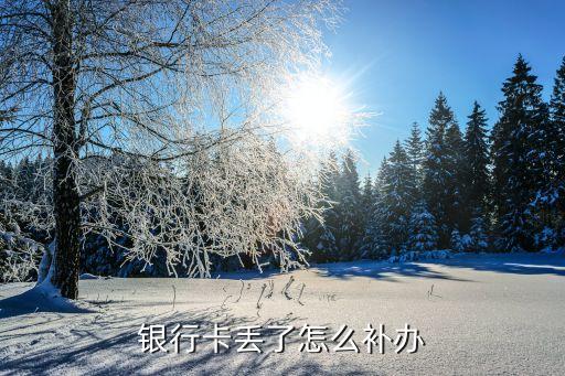 银行卡丢了怎么补办
