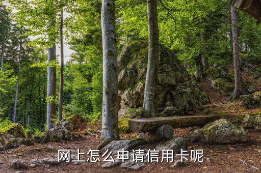 网上怎么申请信用卡呢