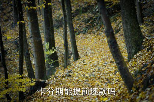 卡分期能提前还款吗