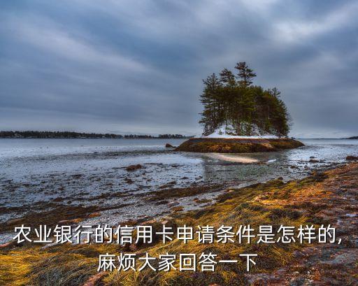 农业银行的信用卡申请条件是怎样的,麻烦大家回答一下