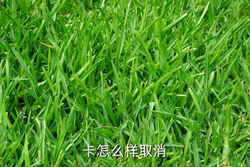 卡怎么样取消