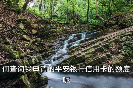 何查询我申请的平安银行信用卡的额度呢