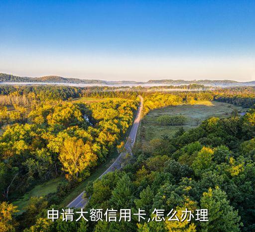 申请大额信用卡,怎么办理