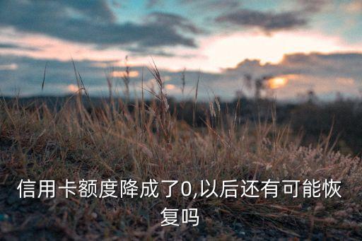 信用卡额度降成了0,以后还有可能恢复吗