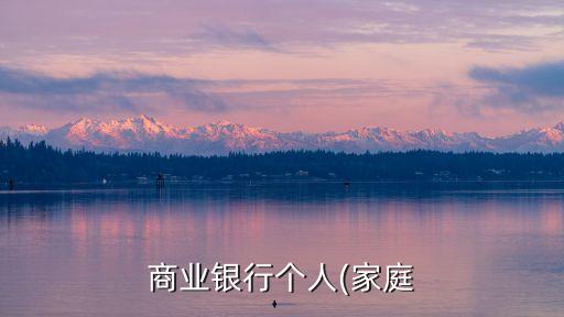 商业银行个人(家庭