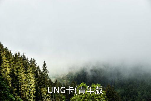 招商银行young信用卡申请通道,招商银行青年卡网上申请