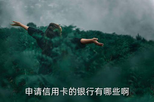 申请信用卡的银行有哪些啊