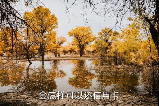 金怎样可以还信用卡