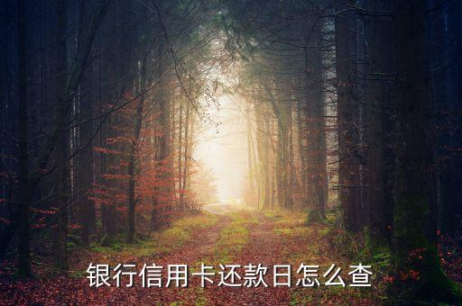银行信用卡还款日怎么查