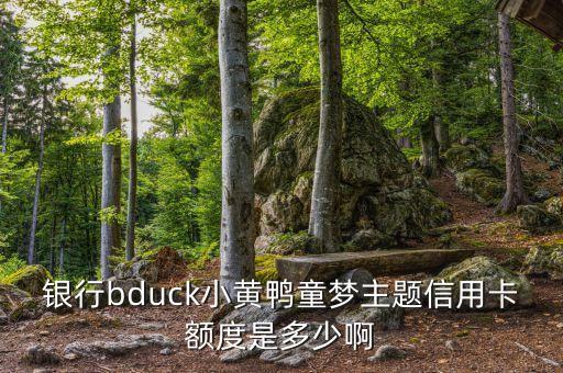银行bduck小黄鸭童梦主题信用卡额度是多少啊