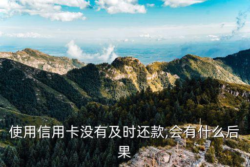 使用信用卡没有及时还款,会有什么后果