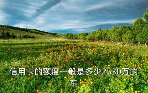 信用卡的额度一般是多少2530万的车