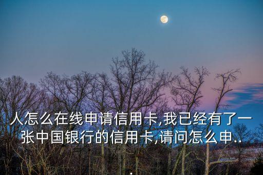 人怎么在线申请信用卡,我已经有了一张中国银行的信用卡,请问怎么申...