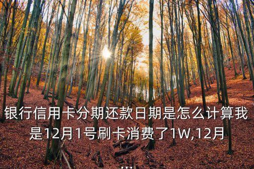 银行信用卡分期还款日期是怎么计算我是12月1号刷卡消费了1W,12月...