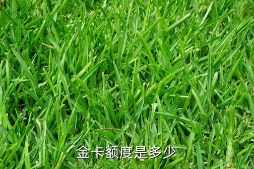 金卡额度是多少
