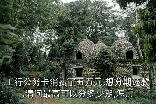 工行公务卡消费了五万元,想分期还款,请问最高可以分多少期,怎...