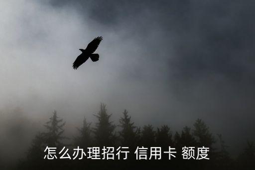 怎么办理招行 信用卡 额度