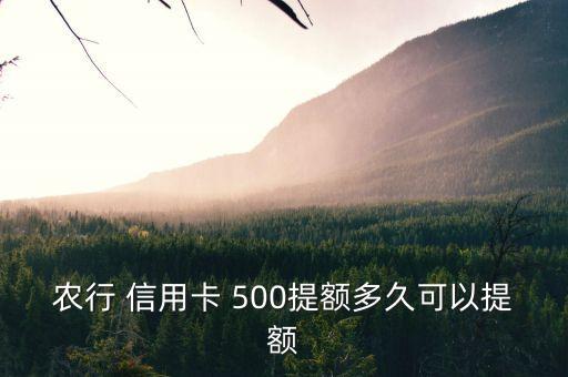 农行 信用卡 500提额多久可以提额