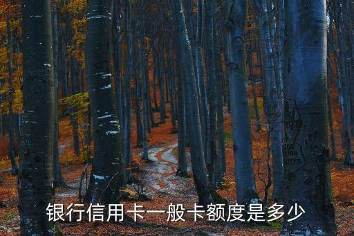 银行信用卡一般卡额度是多少