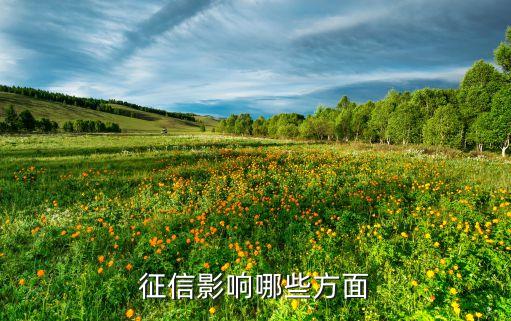 征信影响哪些方面