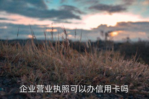 企业营业执照可以办信用卡吗
