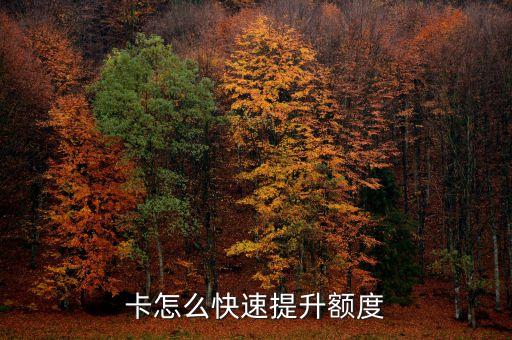 卡怎么快速提升额度
