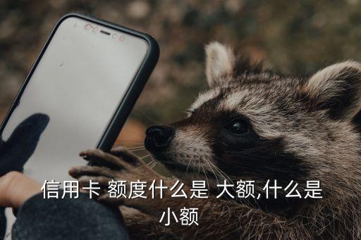  信用卡 额度什么是 大额,什么是小额