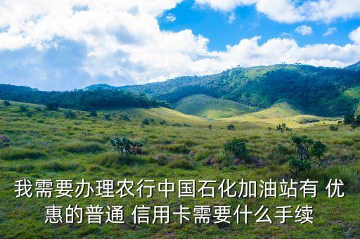 我需要办理农行中国石化加油站有 优惠的普通 信用卡需要什么手续