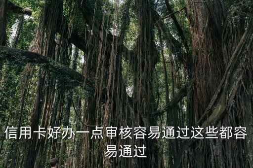 信用卡好办一点审核容易通过这些都容易通过